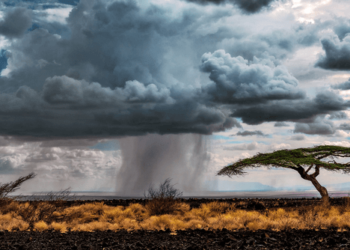 Und dann kam der Regen…