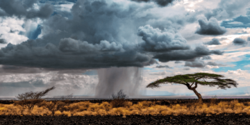 Und dann kam der Regen…