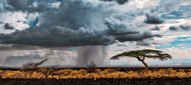 Und dann kam der Regen…